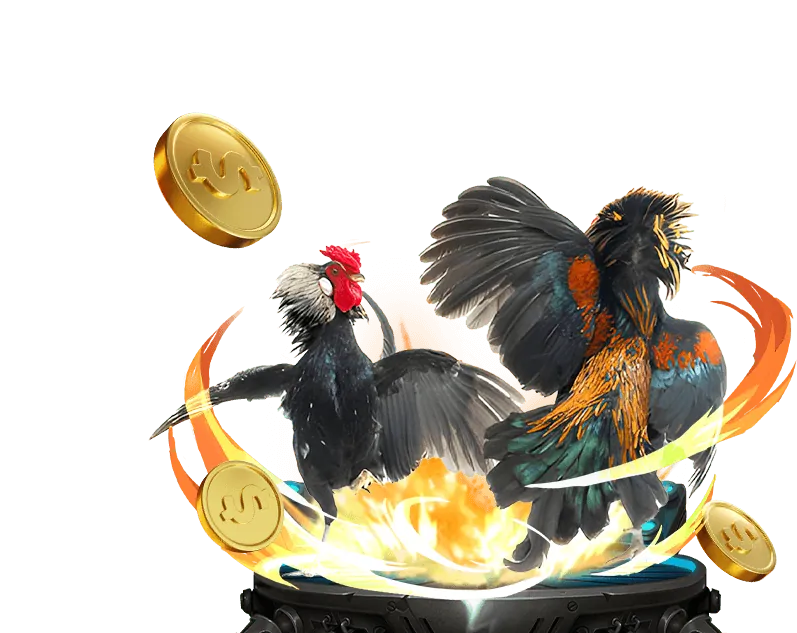 Chiến lược chơi đá gà hiệu quả tại hi8 tải game